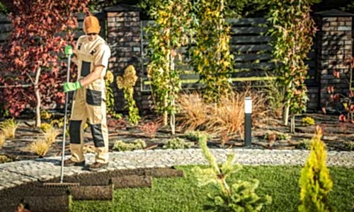 Hızlı ve Pratik:  Rulo Çim Kullanmanın Avantajları